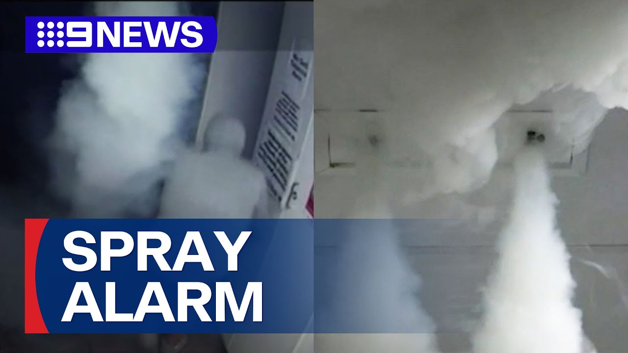 New smoke-blasting security system set to turn away home intruders | 9 News Australia