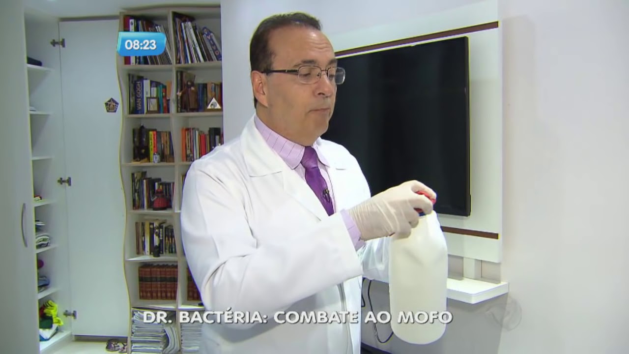 Problemas com mofo? Dr. Bactéria ensina a eliminar esse fungo