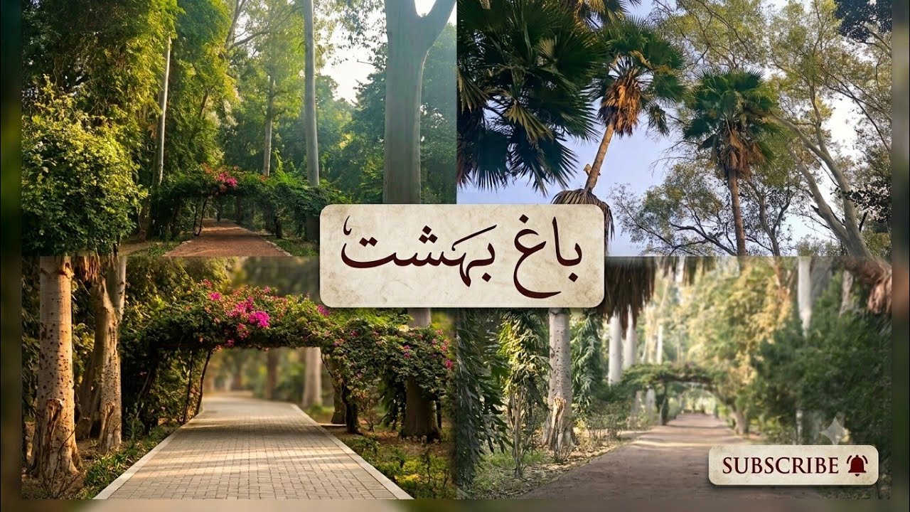 Bagh E Behist / Bagh in Sadiq Abad / Farwa Tehreem