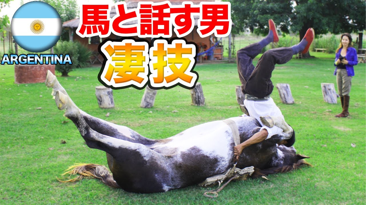 【凄ワザ】馬と話す超人カウボーイが目の前で神業披露