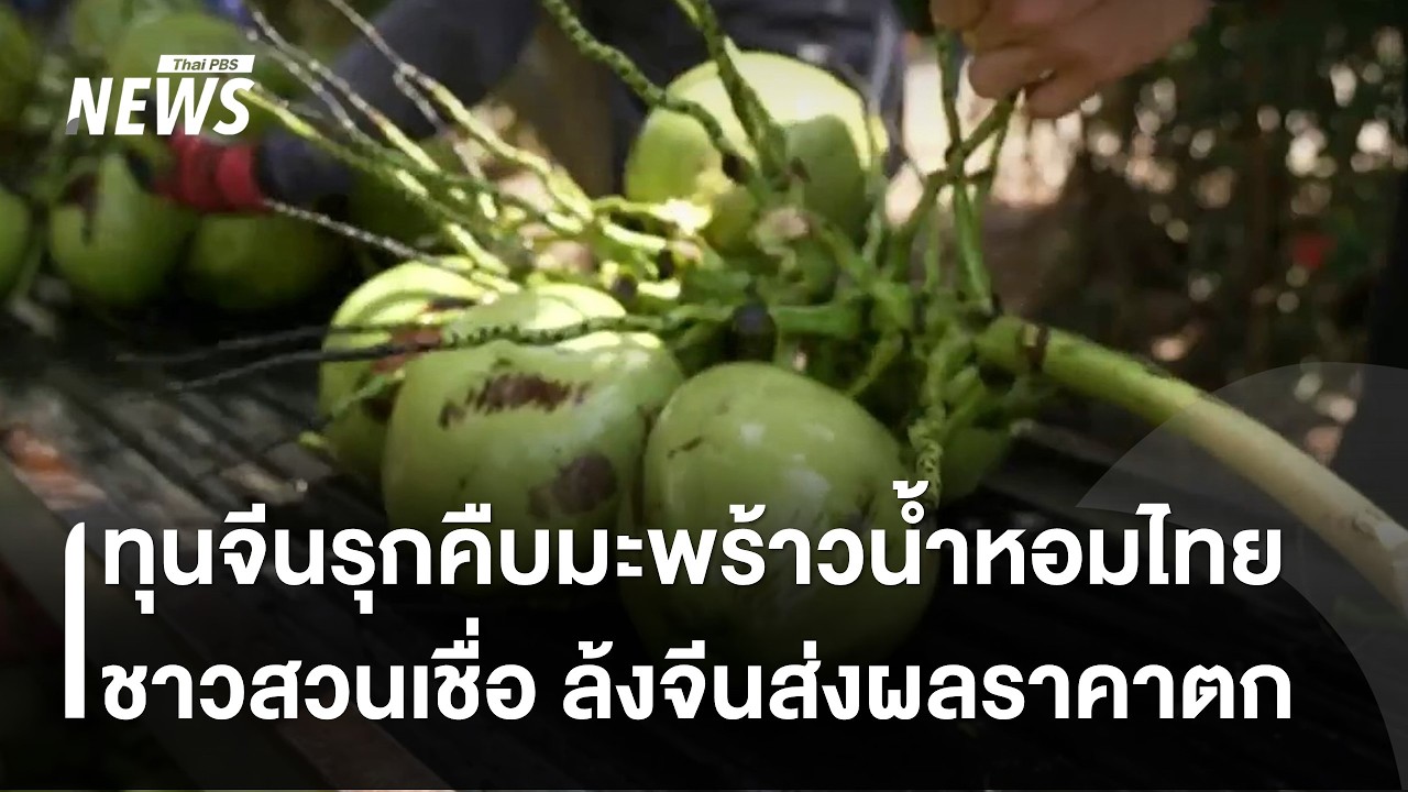 จับตา 