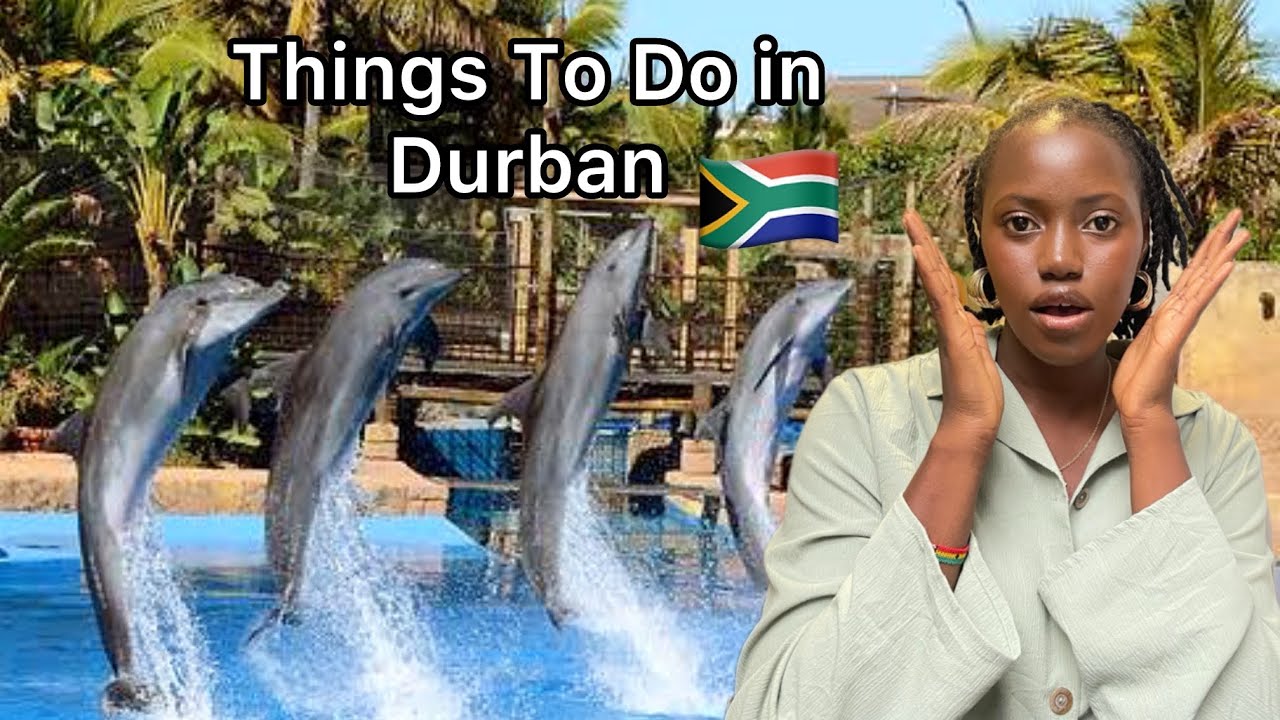 Dolphins Dance to Amapiano in Durban, South Africa.🇿🇦