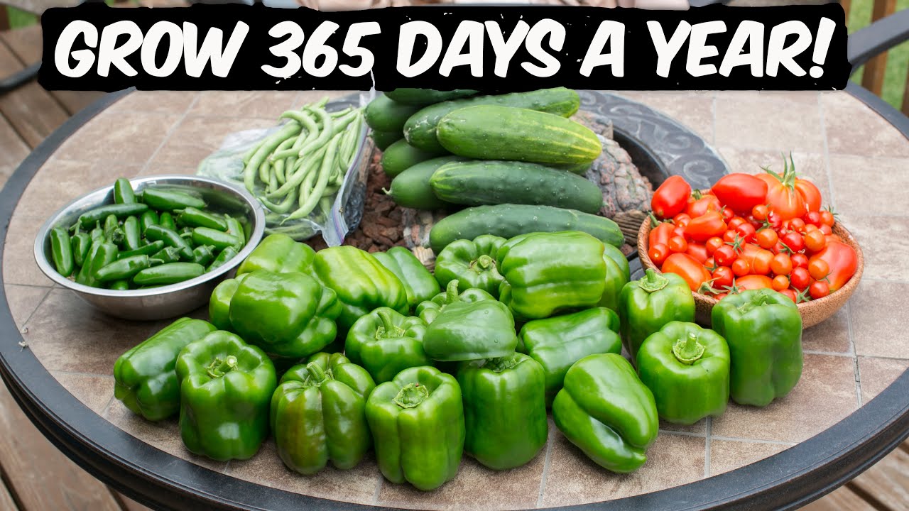 Can we grow 365 days a year OFF the Grid at High Altitude in Rocky Mountains?