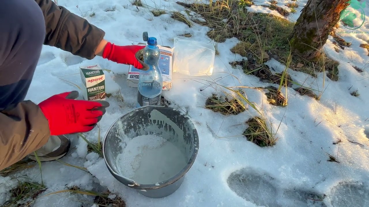 Jak i Kiedy Bielić Drzewka Owocowe? Praktyczny Poradnik