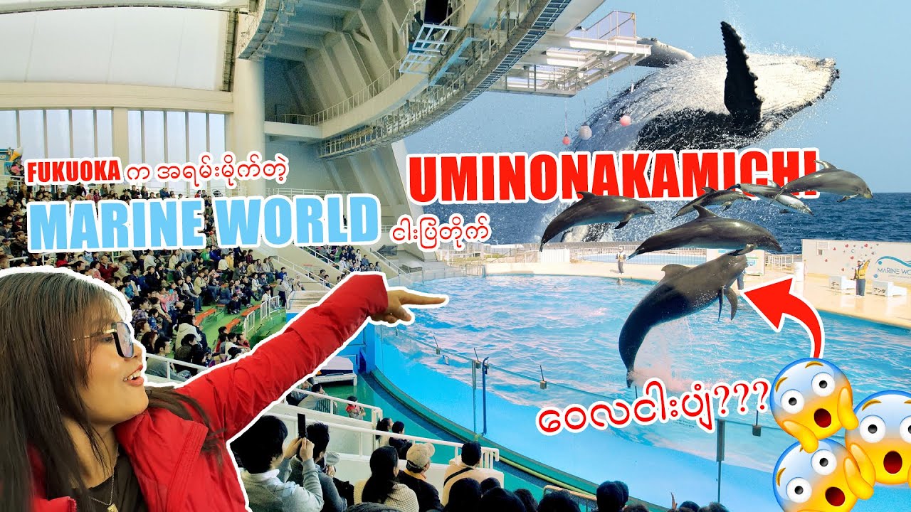 ဖုခုအိုကမြို့က ငါးပြတိုက်_MARINE_WORLD| UMINONAKAMICHI| FUKUOKA_Vol.108