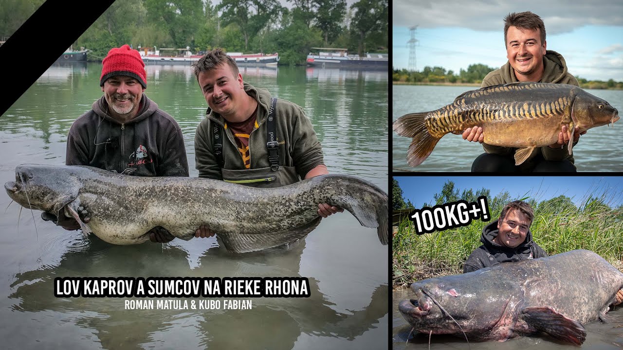 Lov Kaprov a Sumcov na rieke Rhona - Kubo Fabian & Roman Matula
