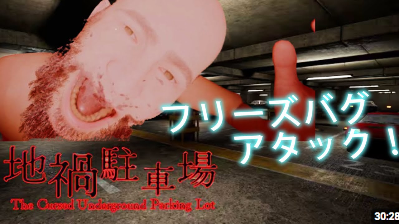 【地禍駐車場】フリーズバグを使うとホラーの敵がホラーしなくなる