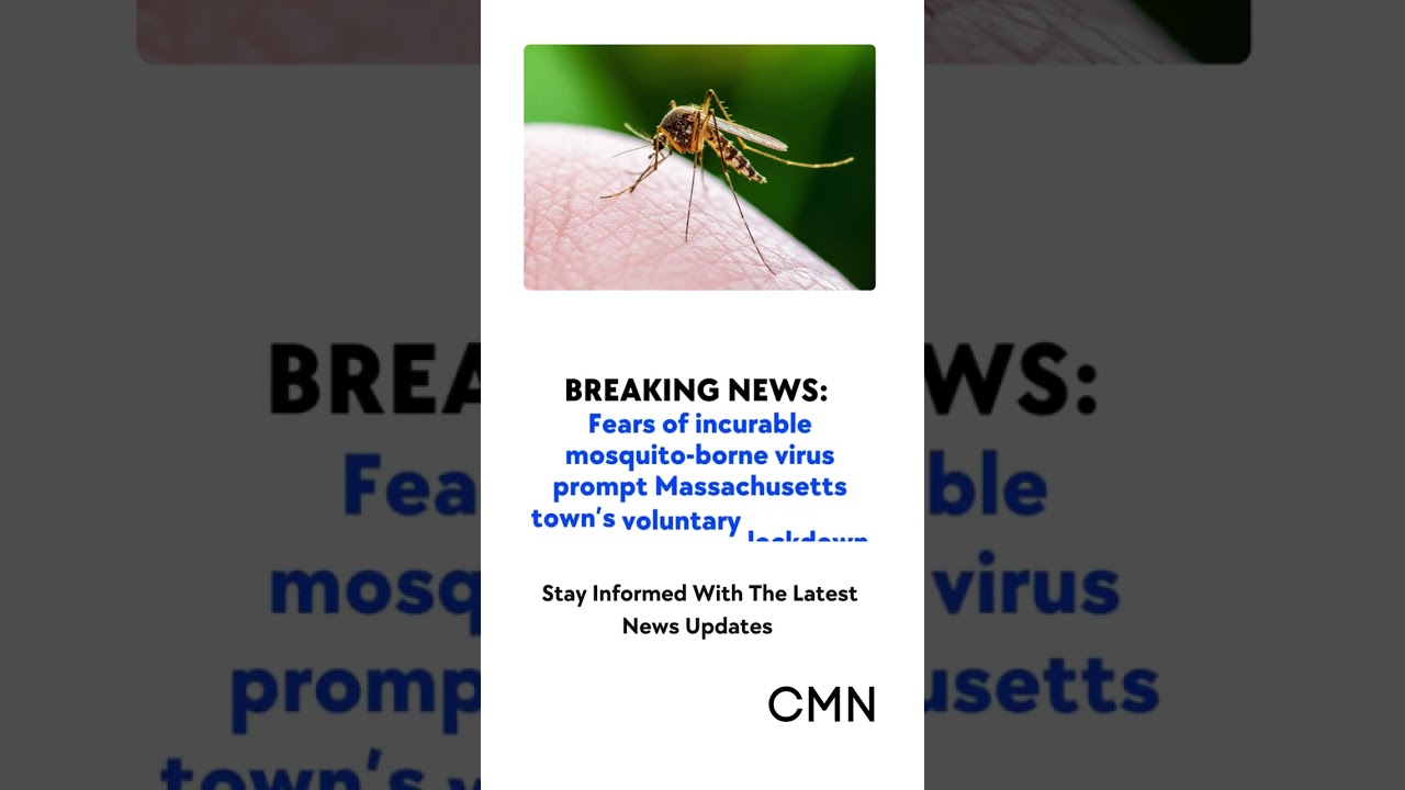 Massachusetts Town Imposes Voluntary Lockdown After Dark to Combat Deadly Mosquito Virus