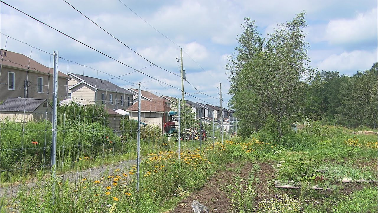 Les banlieusards sont plus satisfaits que les Montréalais