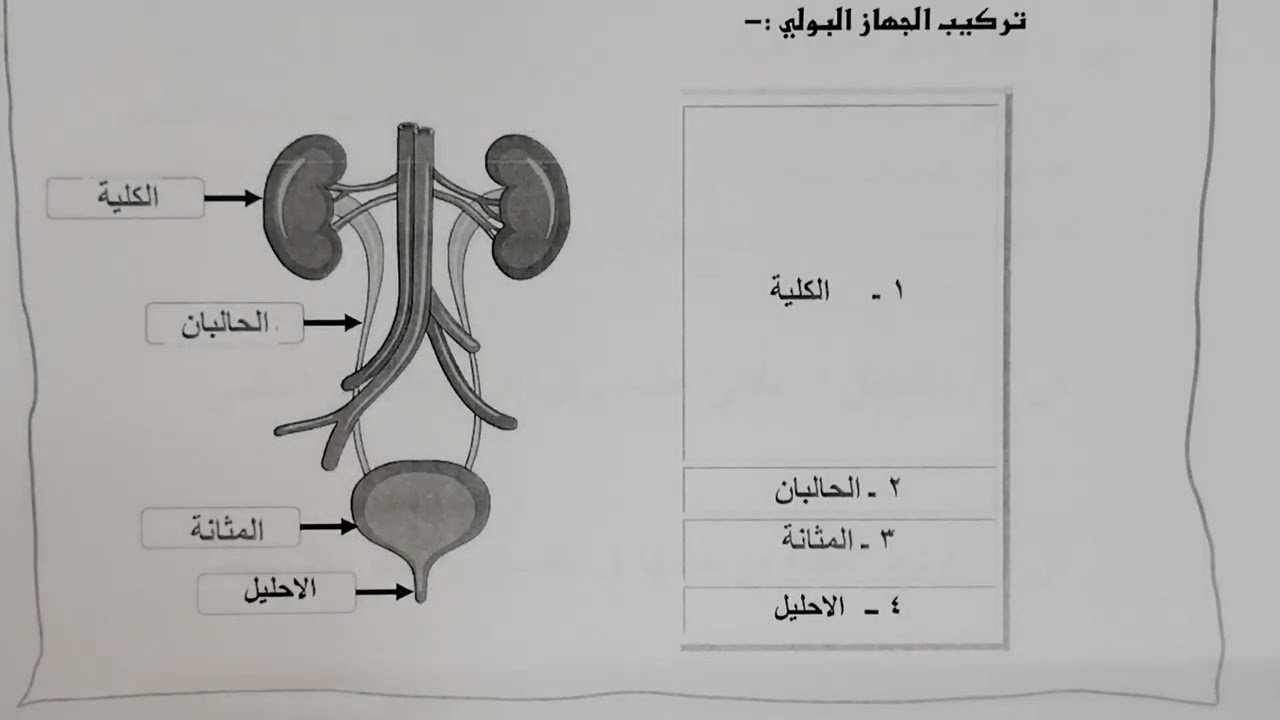 اختبار نهائي علوم ثاني متوسط ف٢