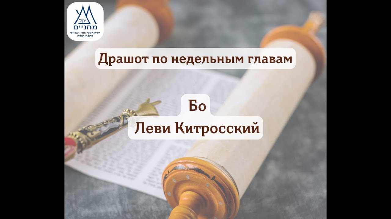 Бо, 23.01.2026 г. Леви Китросский.