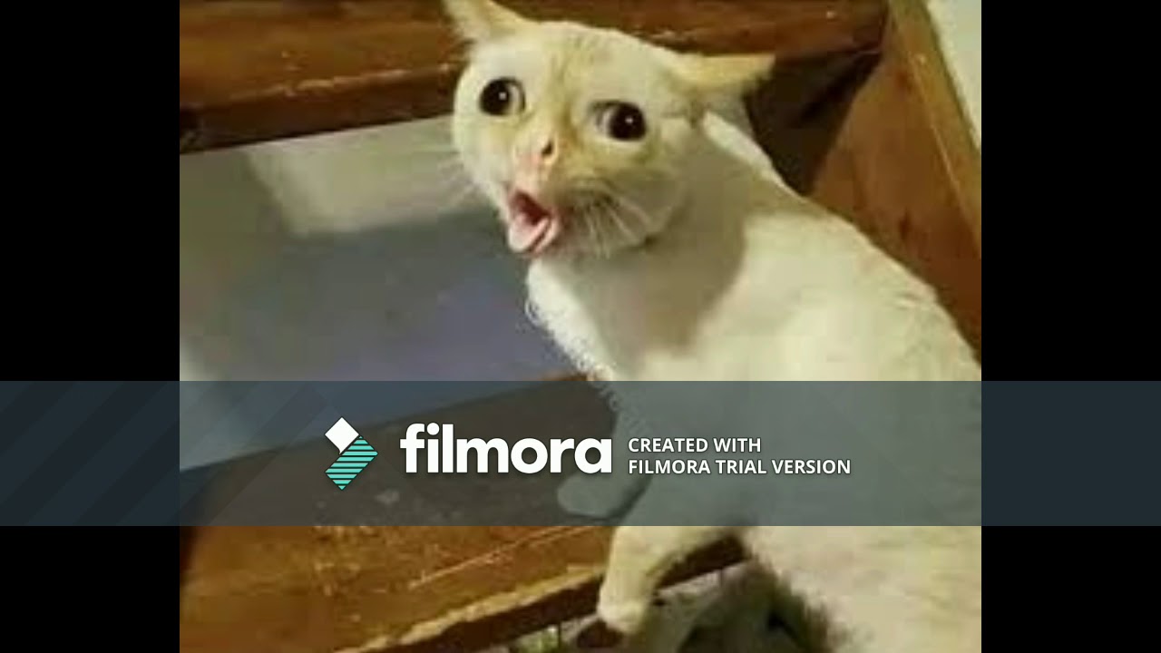 Juha - HuumausAine Rikos