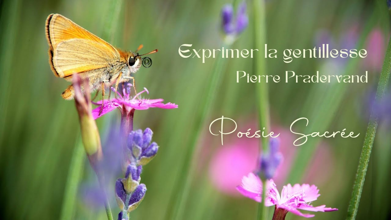 Exprimer la gentillesse : une bénédiction de Pierre Pradervand