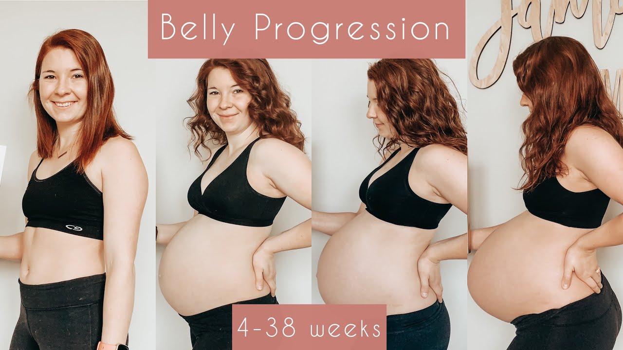 PREGNANCY PROGRESSION VIDEO | 4-38 WEEKS