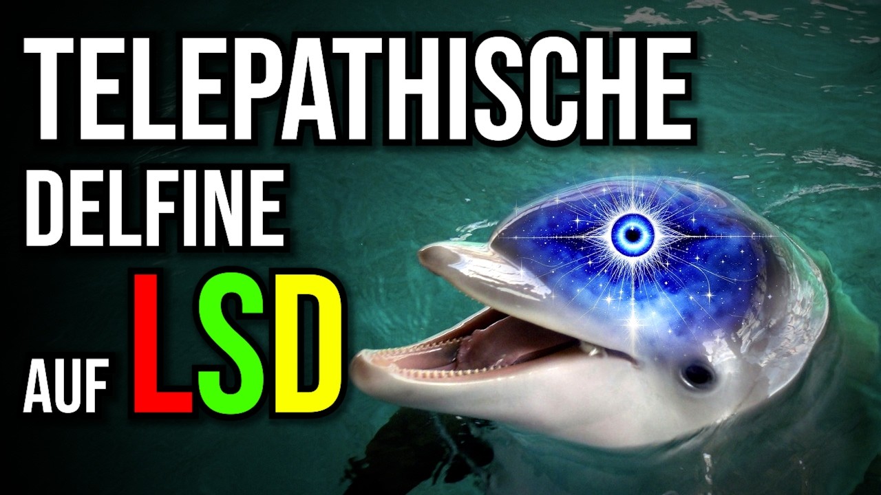Genie oder Wahnsinn? John C. Lillys Delfinhaus