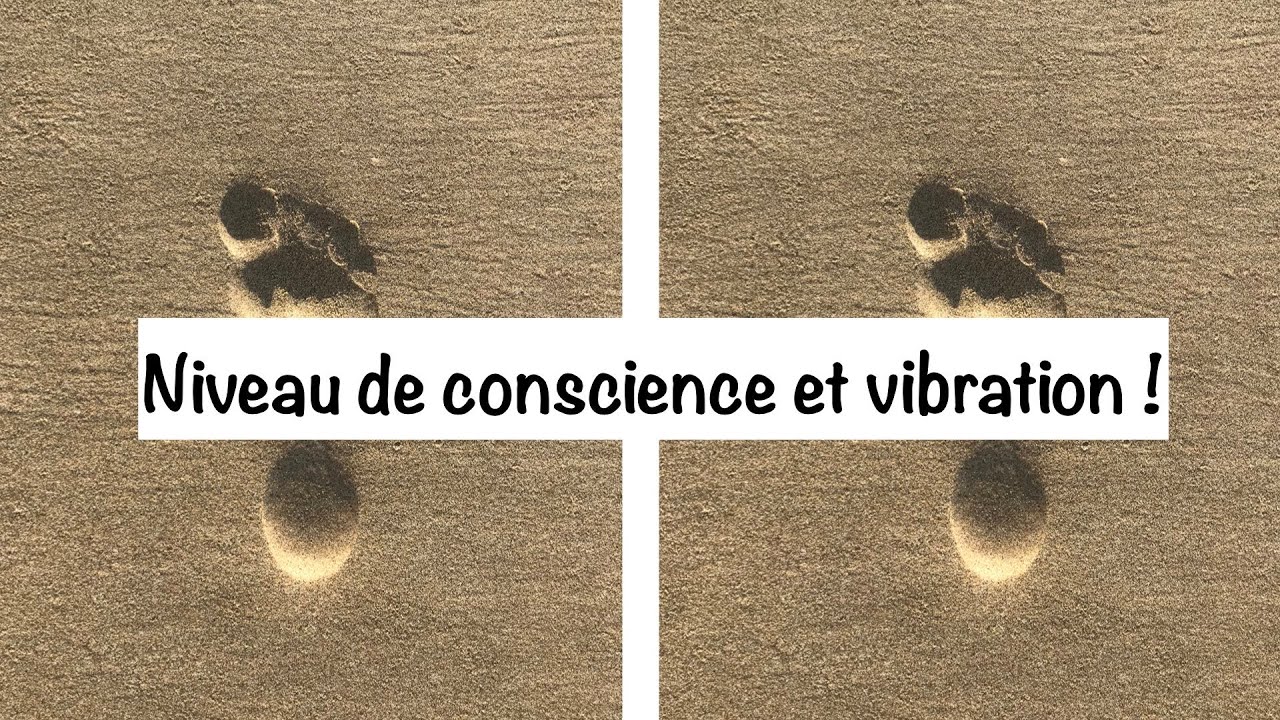 Flamme Jumelle : Niveau de conscience et vibration