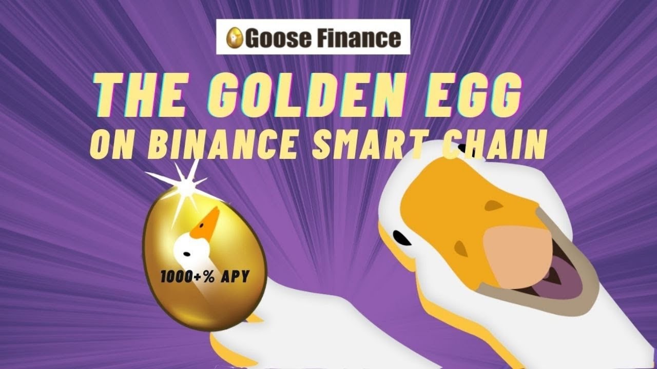 GOOSE FINANCE: LAYERED FARMING BSC HIDDEN GEM!!! Find your PASSIVE INCOME in Crypto HERE!!!