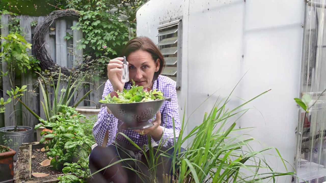 A Food-Inspired Life: Food Styling Secrets (Camera Ready Salad)