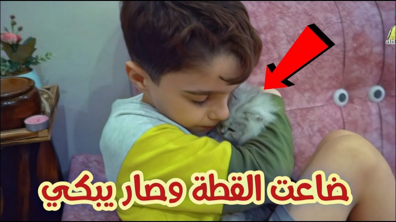 مقلب ضاعت القطة الجديدة في ابو جبل !! بكي خطي