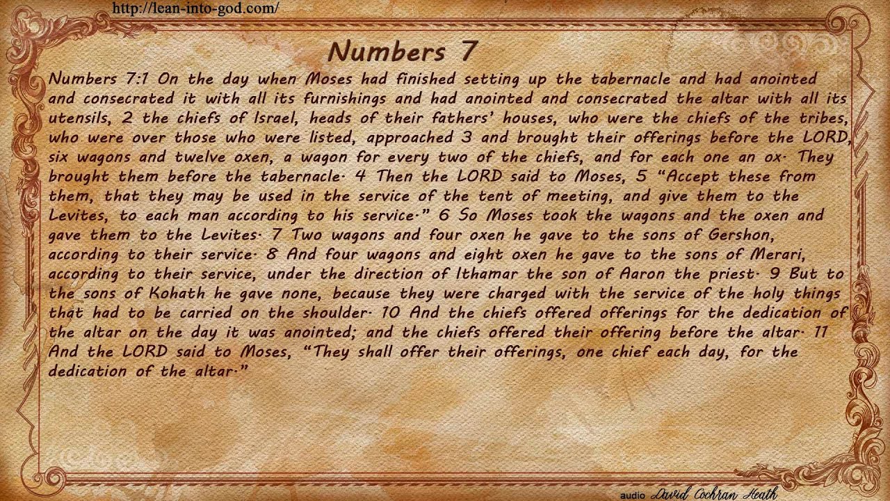 Numbers 7