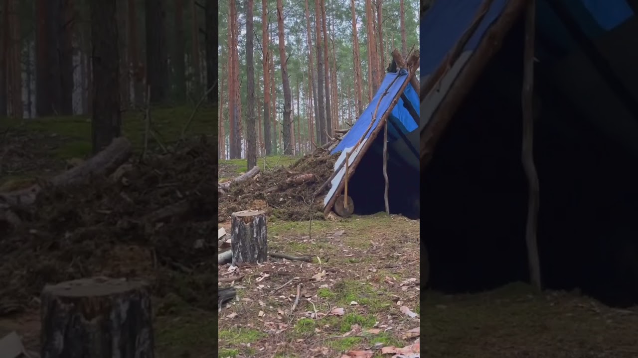 ASMR BUILD A WARM LOG CABIN IN 24 HOURS - Survival Bushcraft.