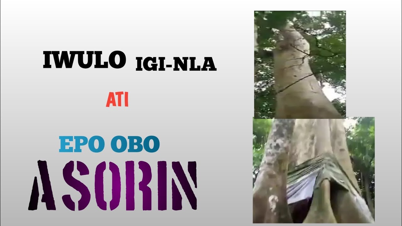 IWULO EPO OBO ATI IGI NLA fun iṣẹ agbara @Dromoodoagbatv
