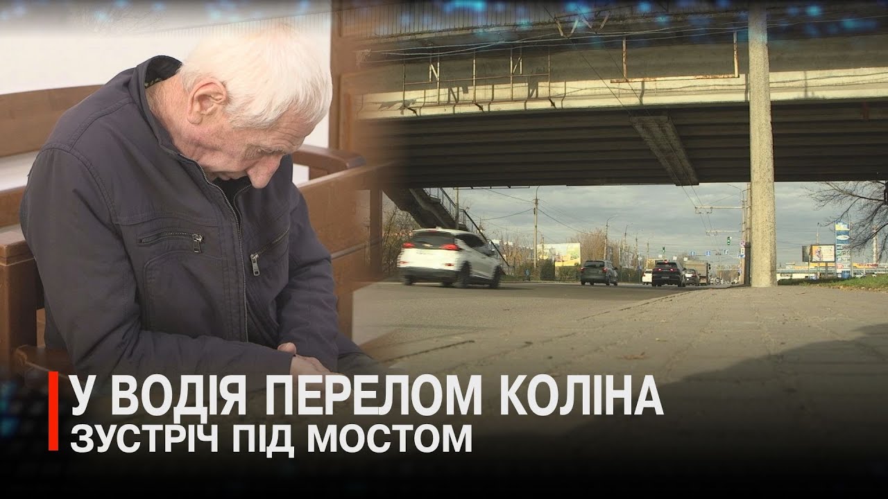 «Він матюкався»: патрульний образився на лайку і згадав рукопашний бій