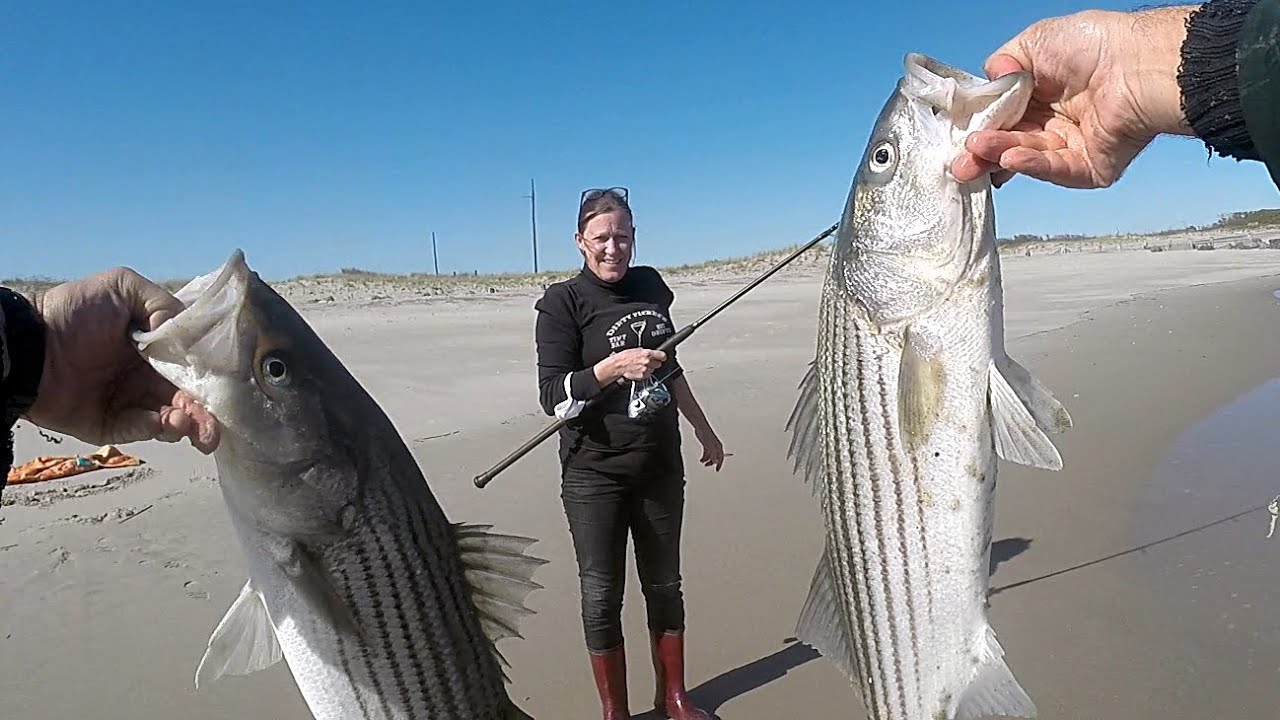 SURF FISHING the BEACH for STRIPED BASS with CIRCLE HOOKS and CLAM BAIT