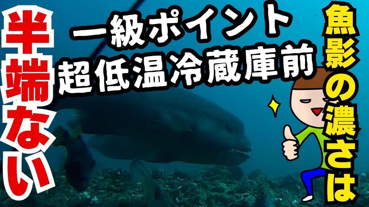 怪物現る・三崎港の人気の釣り場で水中動画　三浦半島の釣りポイント
