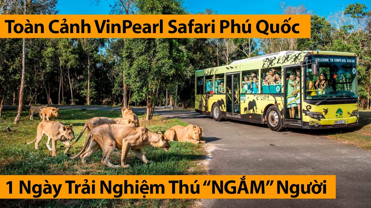 VinPearl Safari Phú Quốc - Thế Giới Động Vật Muôn Màu