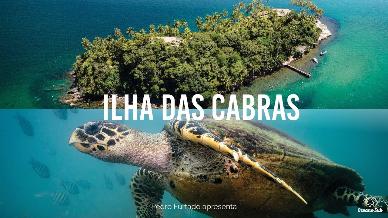 ILHA DAS CABRAS - ILHABELA - MERGULHO