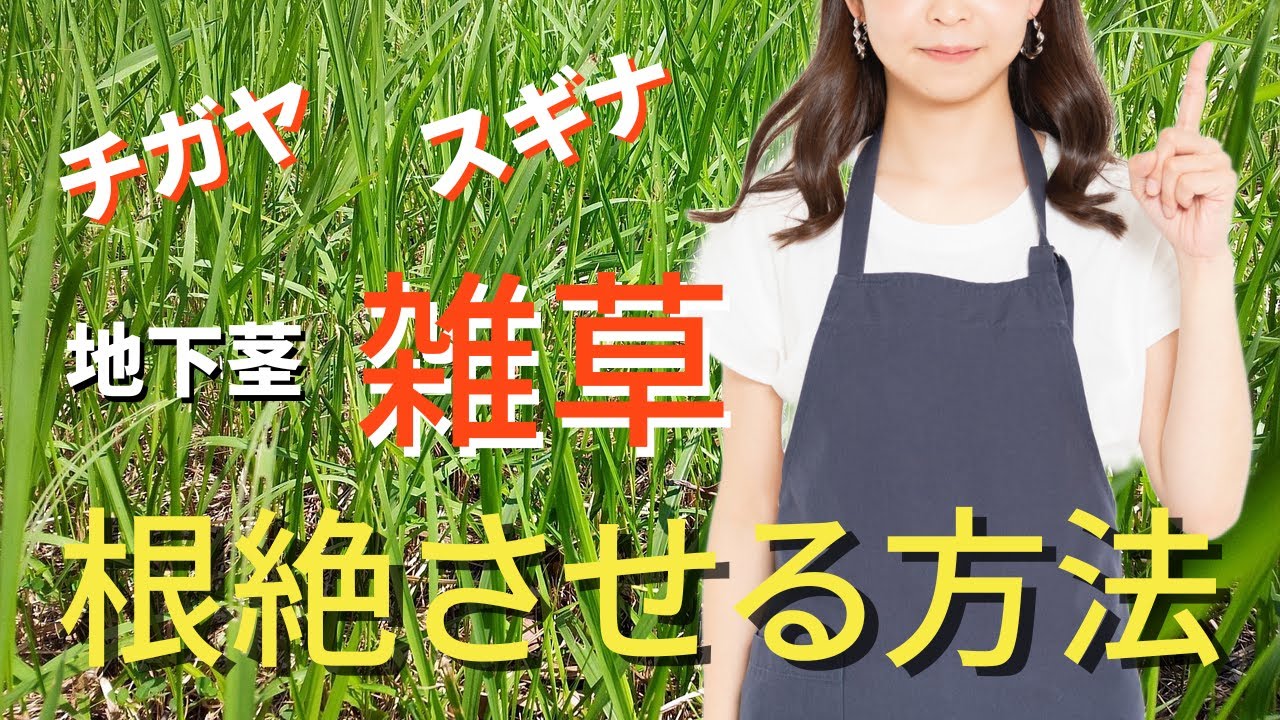 【雑草駆除・雑草除去】地下茎も駆除して草取りから解放！簡単にできるコストを抑える除去方法