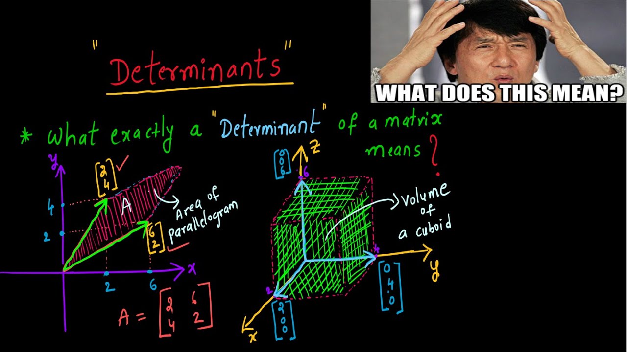 LINEAR ALGEBRA (GEOMETRIC MEANING OF THE DETERMINANT)