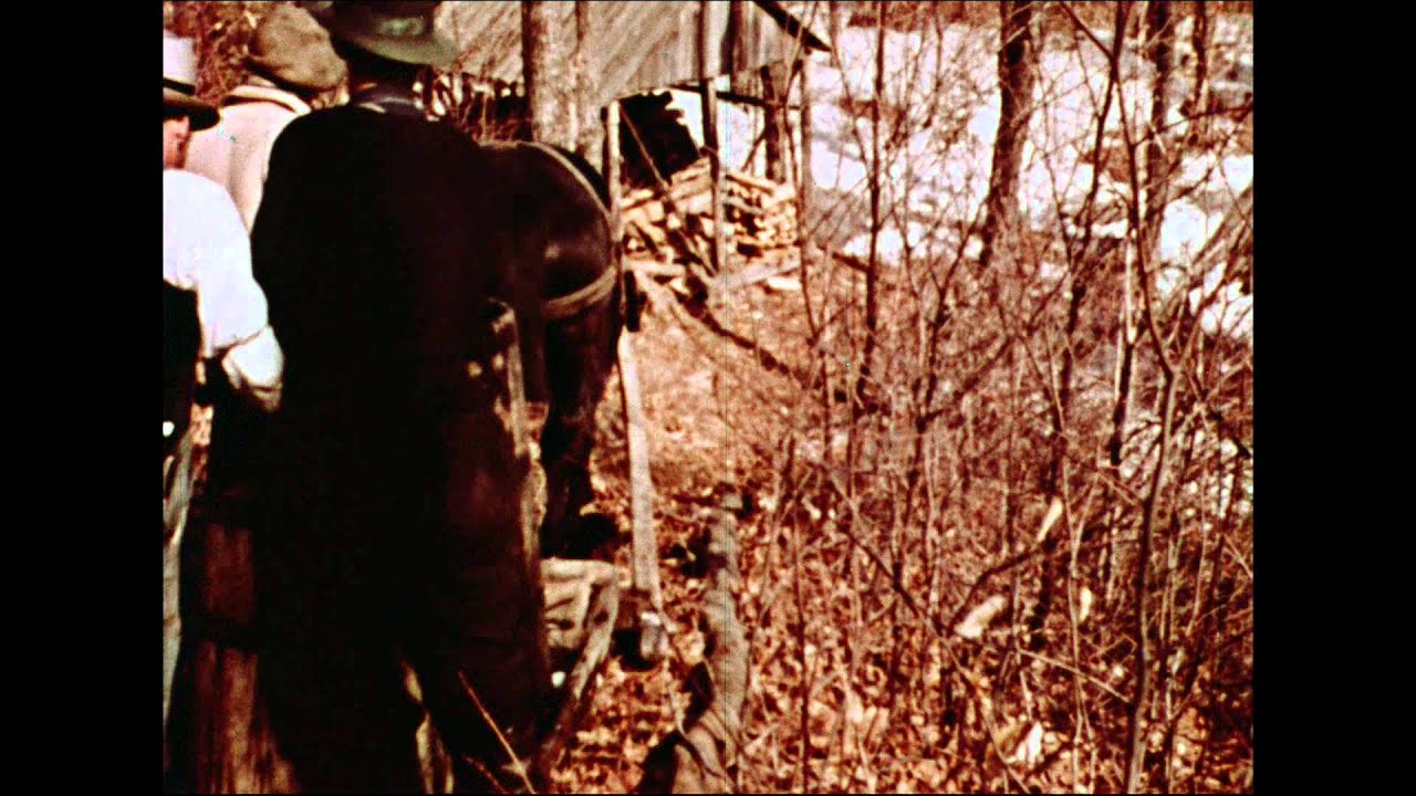Maple Sugar Time = Le Temps des sucres (1941)