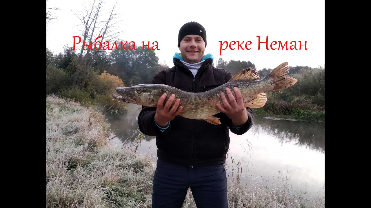 ОСЕННЯЯ РЫБАЛКА НА РЕКЕ НЕМАН!