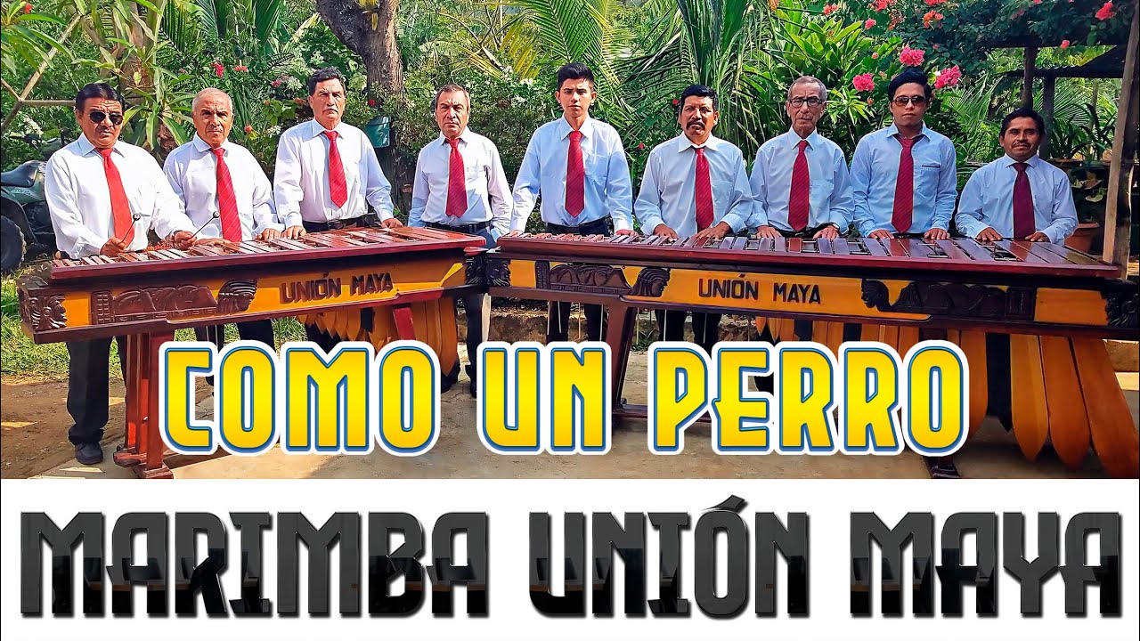 Como un perro - Marimba Union Maya
