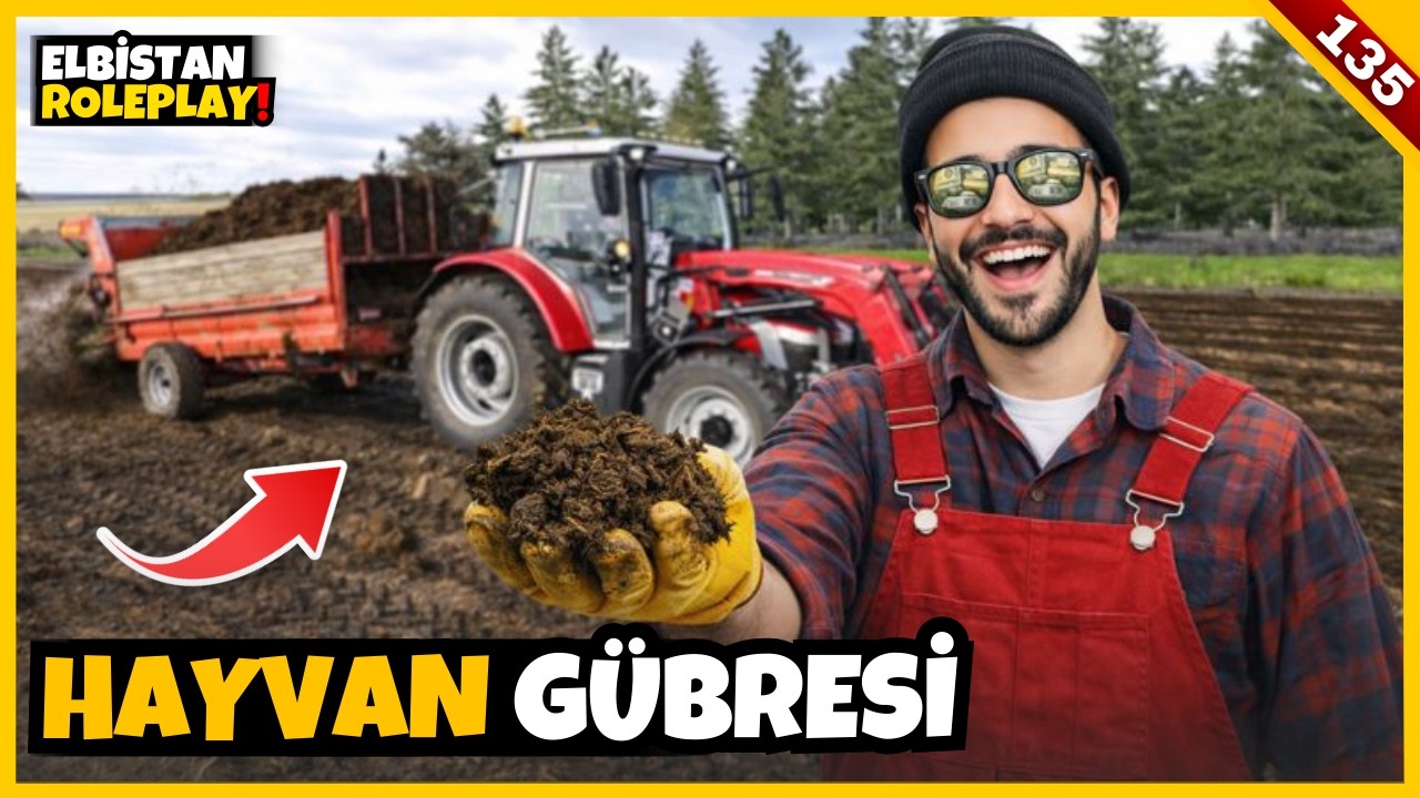 Massey Ferguson 5S 145 İle Tarlaya Hayvan Gübresi atıyoruz | FS25 | S7 B135