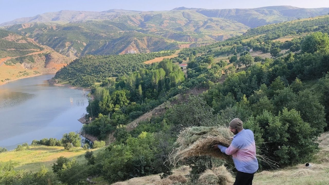 Yüksek Dağ Köyünde Emek Ve Sevginin Gücü. Babamla Kışa Hazırlık.