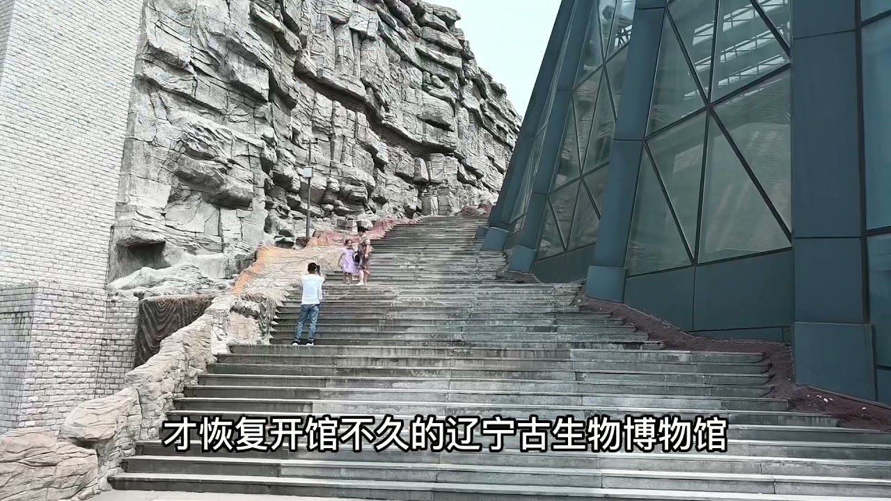 【打卡日记】参观辽宁古生物博物馆