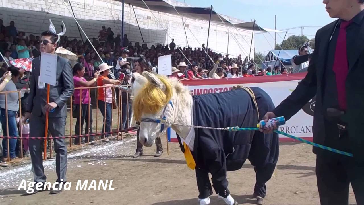 Feria nacional del burro en Otumba 2016 en el concurso de disfraces