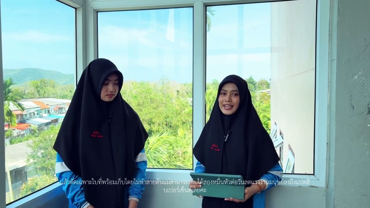 การเก็บเกี่ยวผักกาดหอมอัตโนมัติในเรือนกระจกอัจฉริยะที่ทันสมัยที่สุดของยุโรป