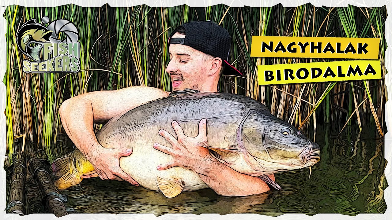 NAGYHALAK birodalma - Don Carp Lake