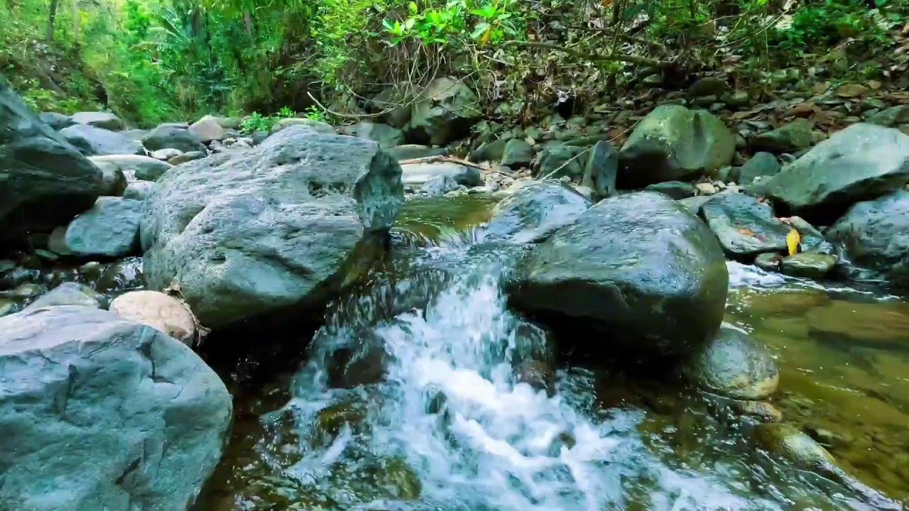 Flowing River Sounds for Sleep and Relaxation | Peaceful Nature Ambience for Meditation