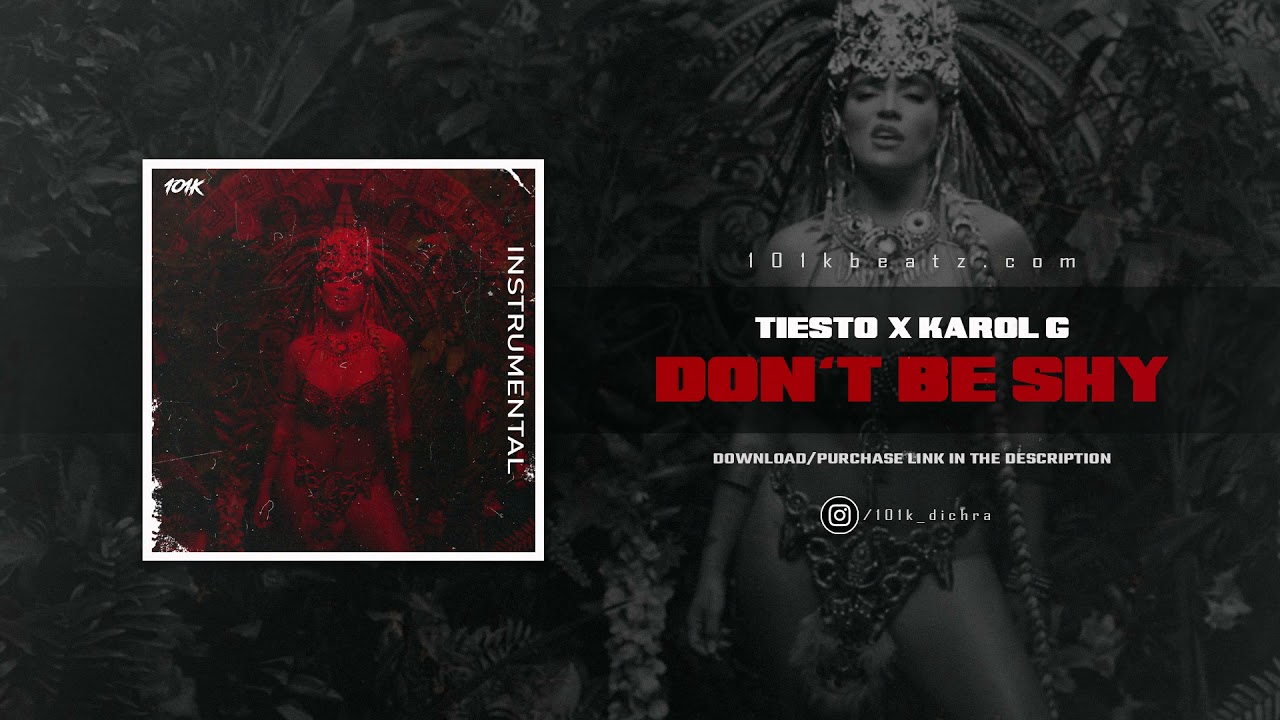 Tiësto & Karol G - Don't Be Shy (Instrumental)