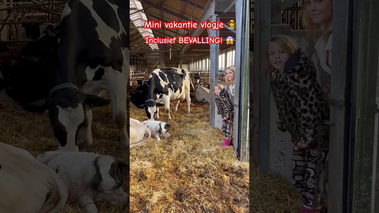 MiNi VLOG; Na deze bevalling wilde de kids alleen nog maar pannenkoek tijdens de gourmet 🫣 🐮🆎👍