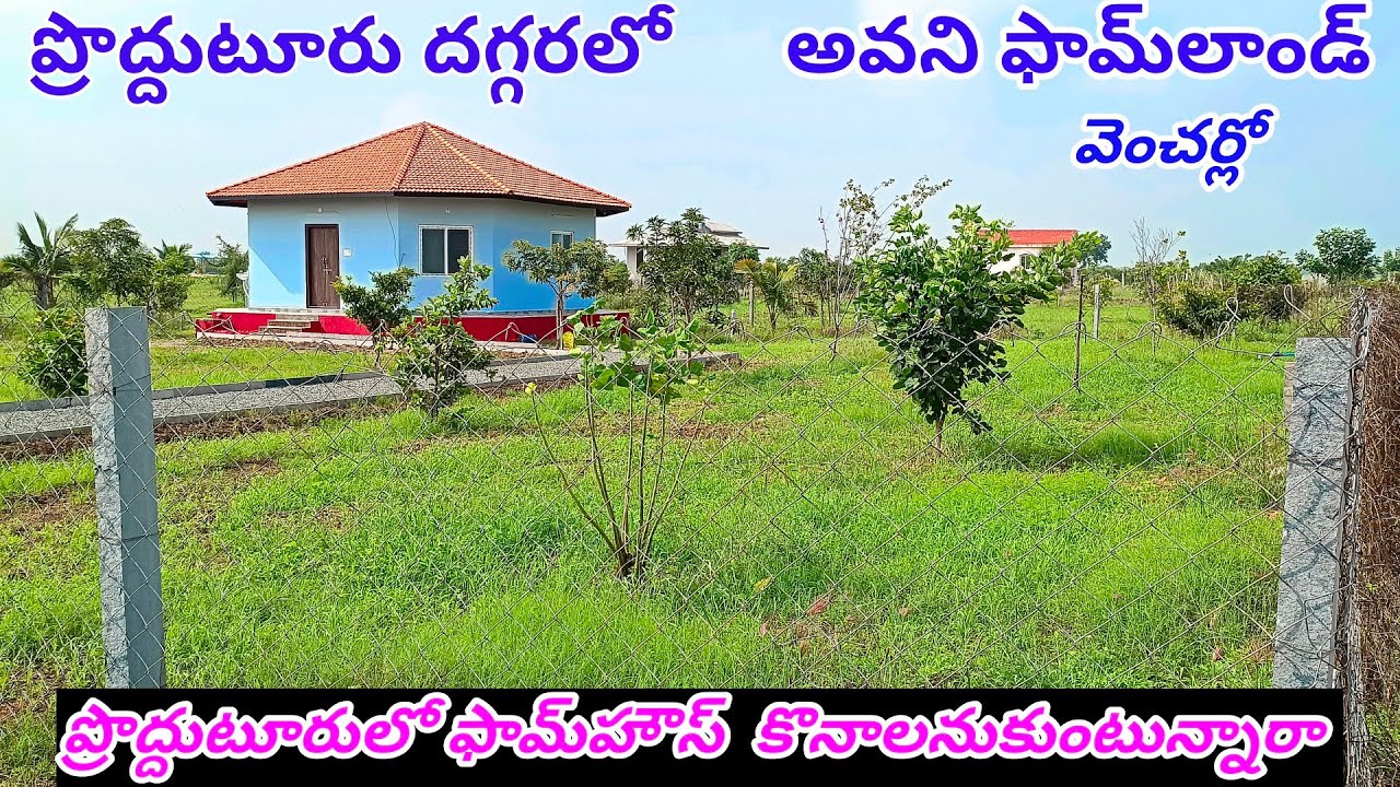 ప్రొద్దుటూరులో అవని Farm Land తక్కువ రేటులో ఫామ్‌హౌస్ కొనాలనుకుంటున్నారా Contact 94942 19784