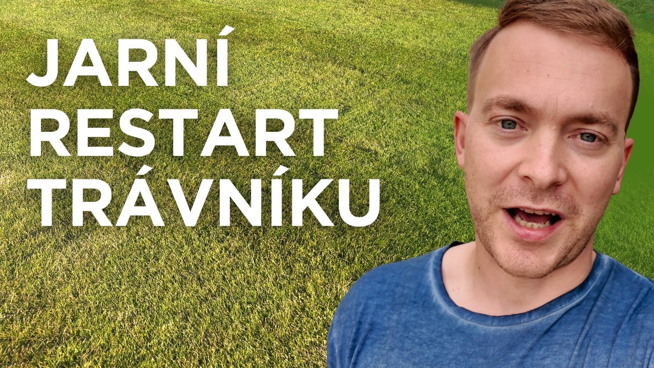 Trávník po zimě: 5 kroků, které musíte udělat HNED (jarní péče 2026)
