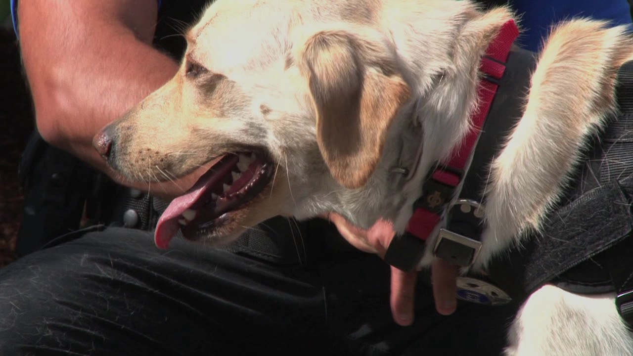Washington State Patrol: K9 Memorial and K9 Graduation