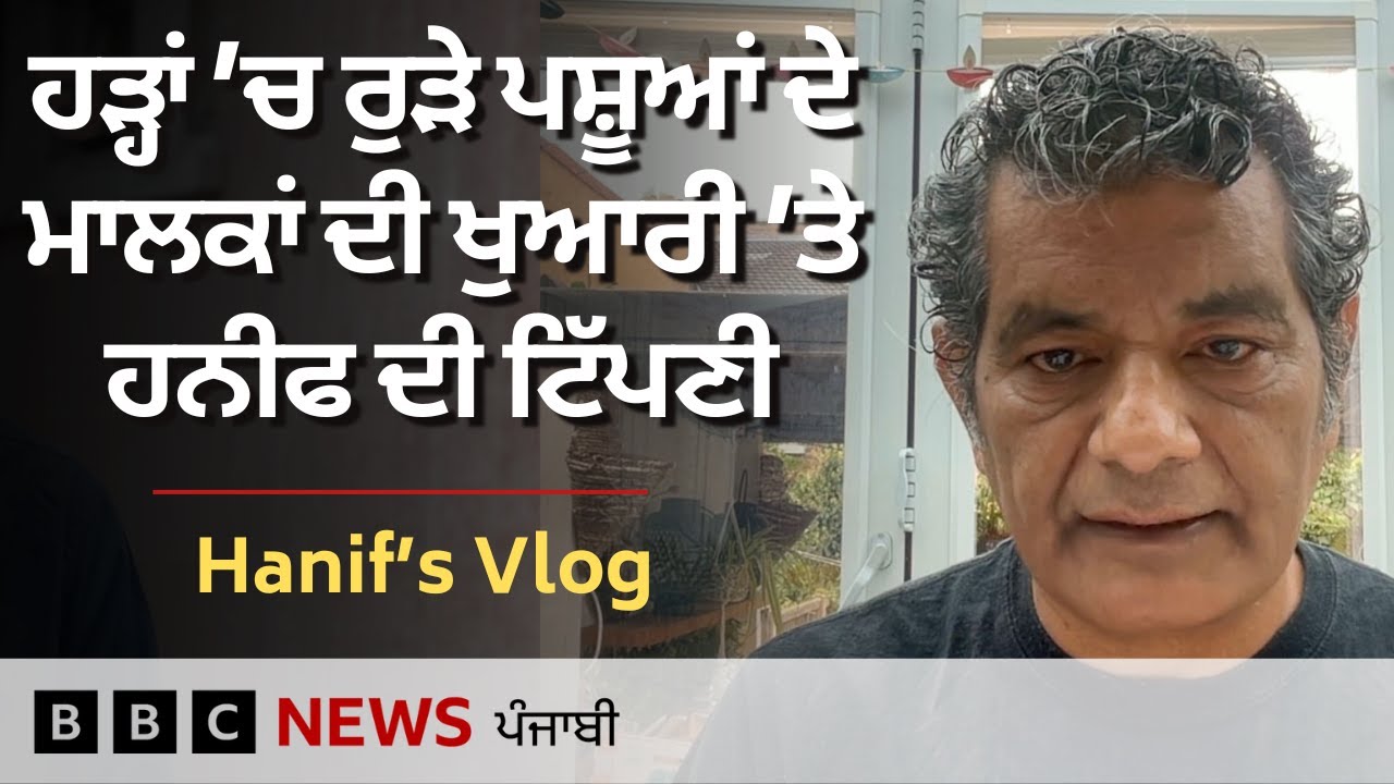 Pakistan ਵਿੱਚ ਹੜ੍ਹਾਂ ਦੇ ਪਾਣੀ ਨਾਲ ਹੋਏ ਪਸ਼ੂਆਂ ਦੇ ਨੁਕਸਾਨ ’ਤੇ Hanif ਦਾ Vlog| 𝐁𝐁𝐂 𝐏𝐔𝐍𝐉𝐀𝐁𝐈
