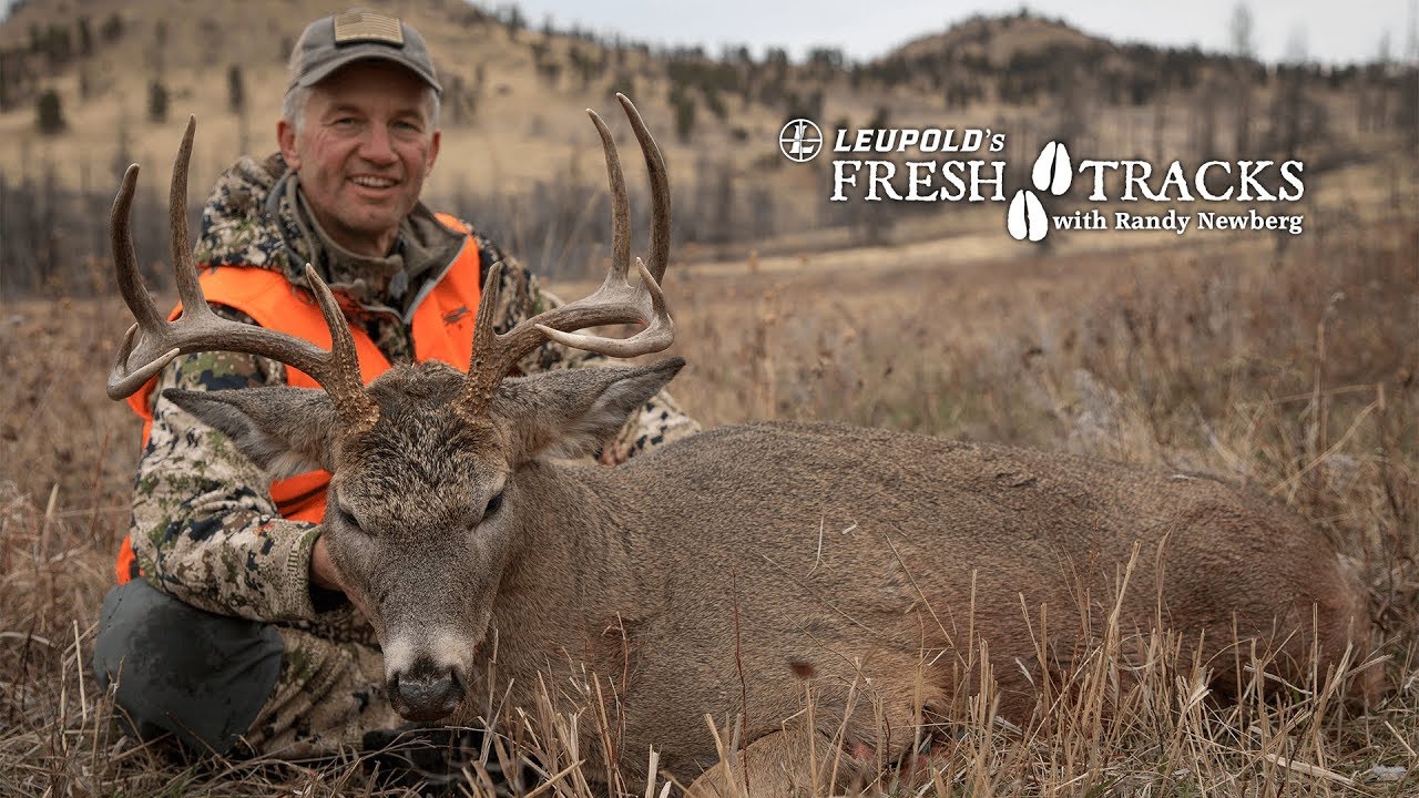 2017 Montana Deer with Randy Newberg (Amazon Version)